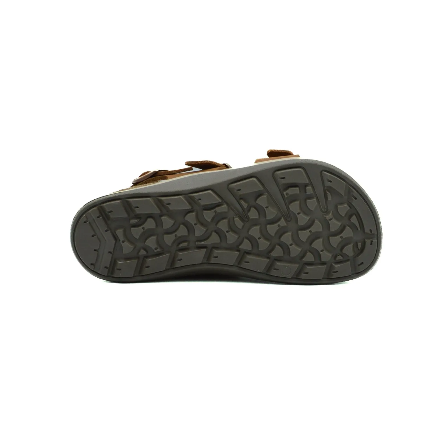 BIRKENSTOCK Sonora Women Oiled Leather Birkenstock Shoes