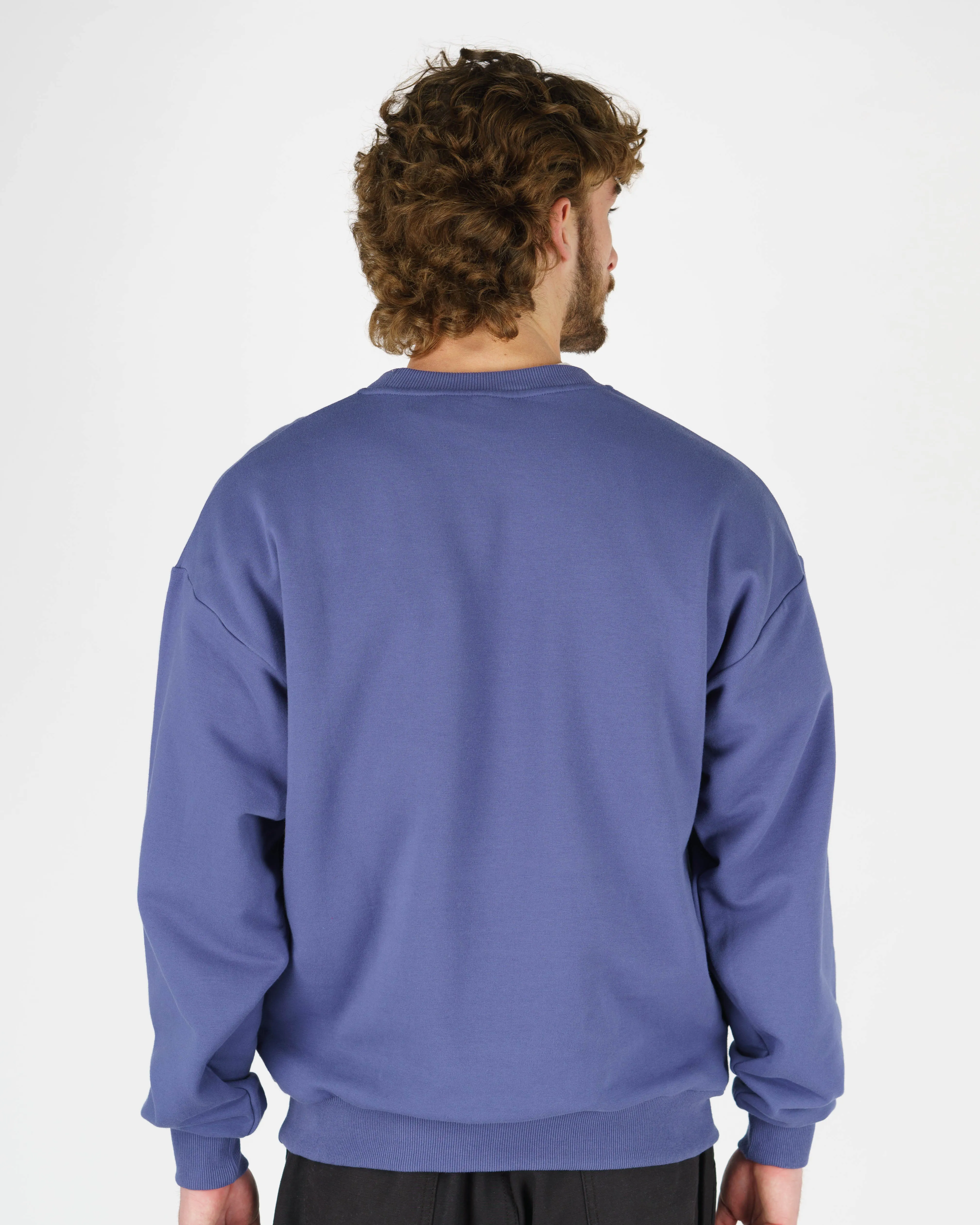Dandy L/S Pullover Crewneck - Blue