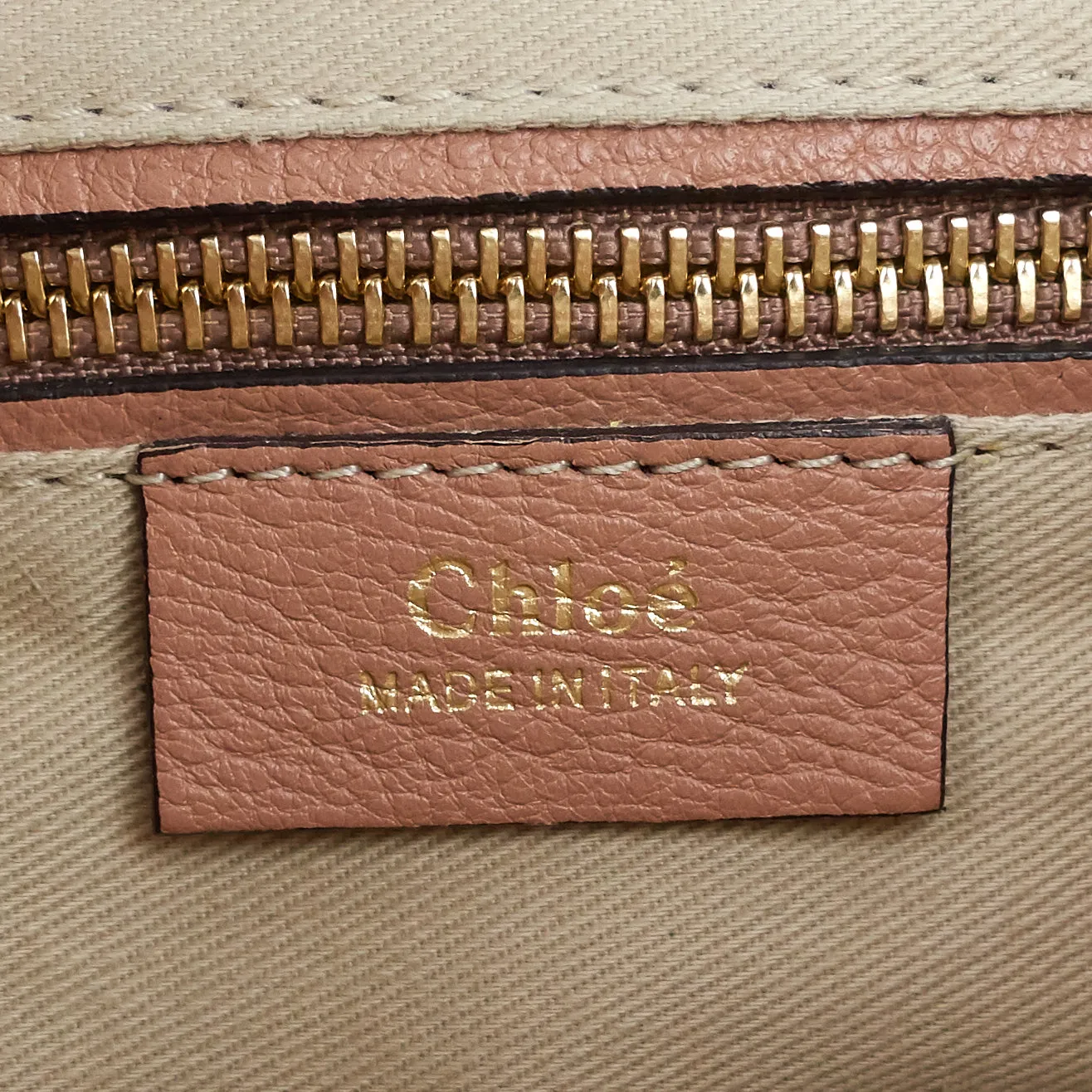 Faye Calfskin and Suede Backpack Bag Bags_Chloé