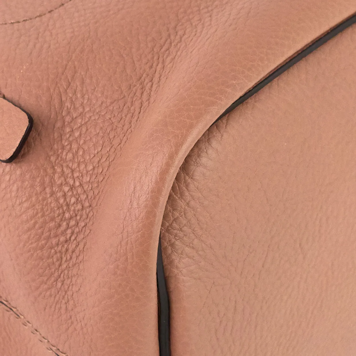 Faye Calfskin and Suede Backpack Bag Bags_Chloé