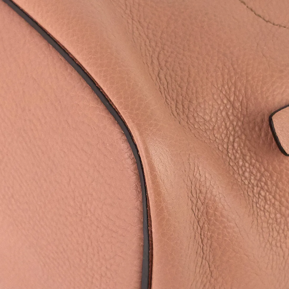 Faye Calfskin and Suede Backpack Bag Bags_Chloé