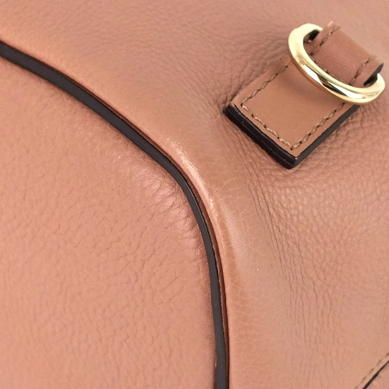 Faye Calfskin and Suede Backpack Bag Bags_Chloé