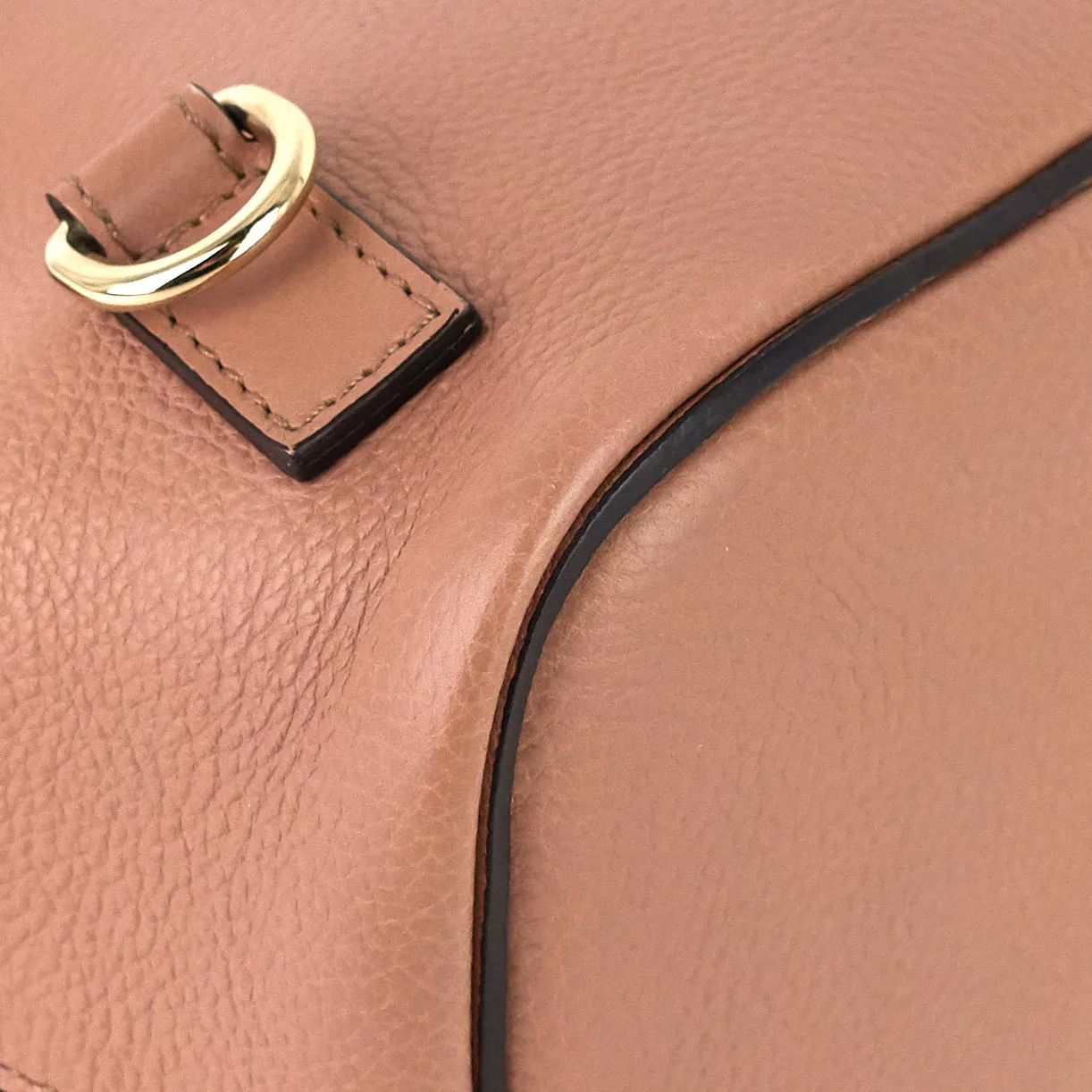 Faye Calfskin and Suede Backpack Bag Bags_Chloé