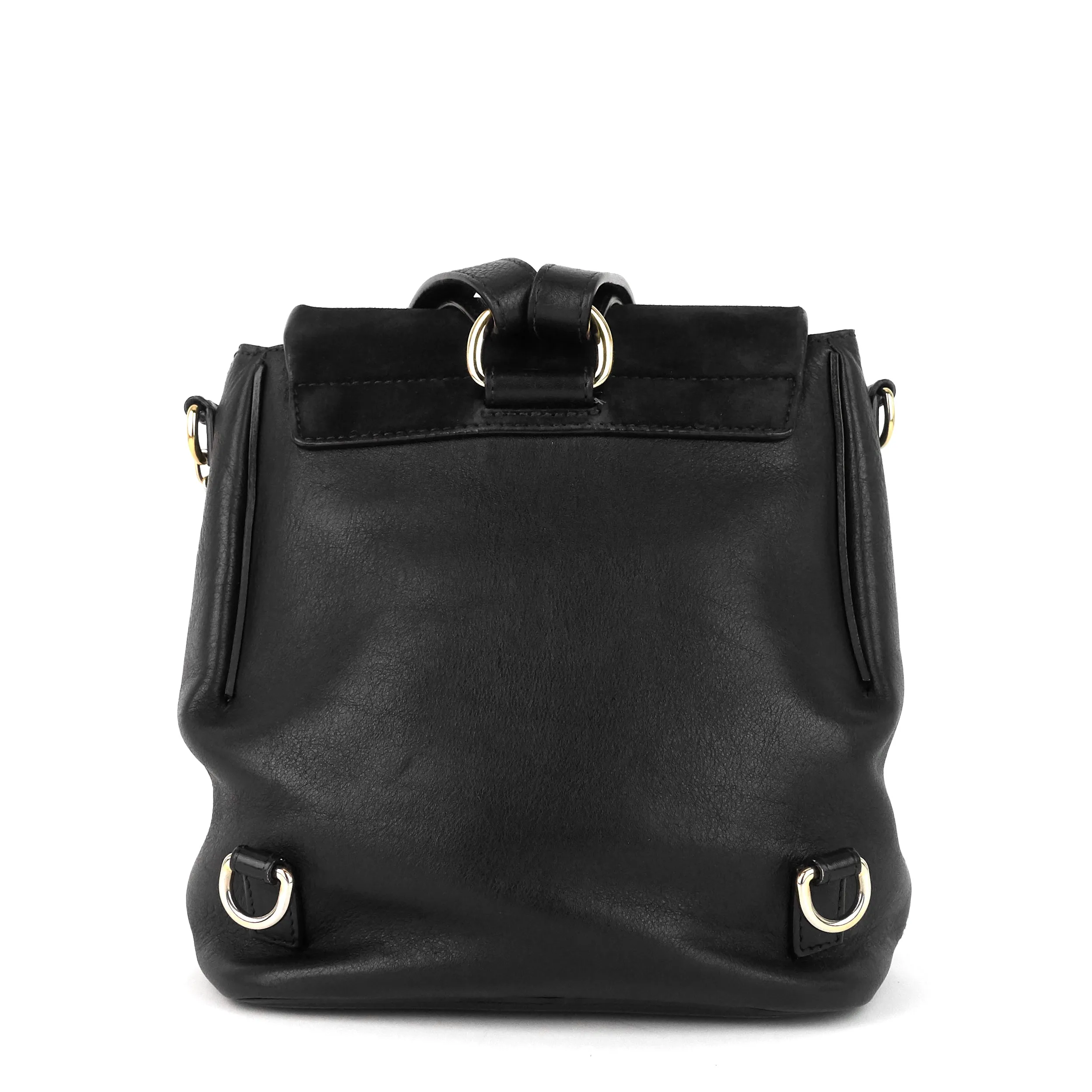 Faye Small Calfskin and Suede Backpack Bag Bags_Chloé