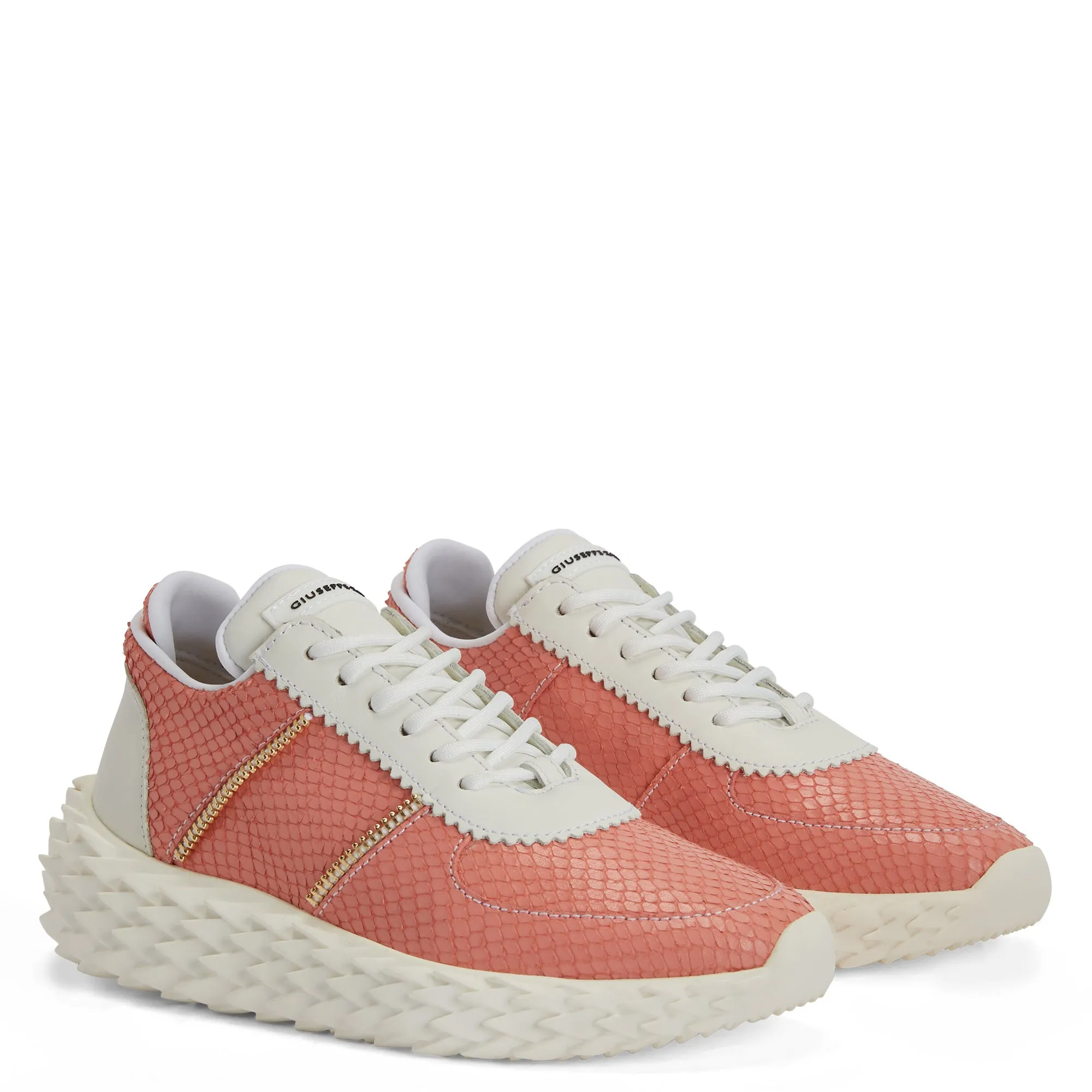 Giuseppe Zanotti Urchin