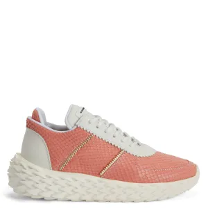 Giuseppe Zanotti Urchin