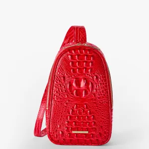 Jordan Bags Brahmin Backpacks