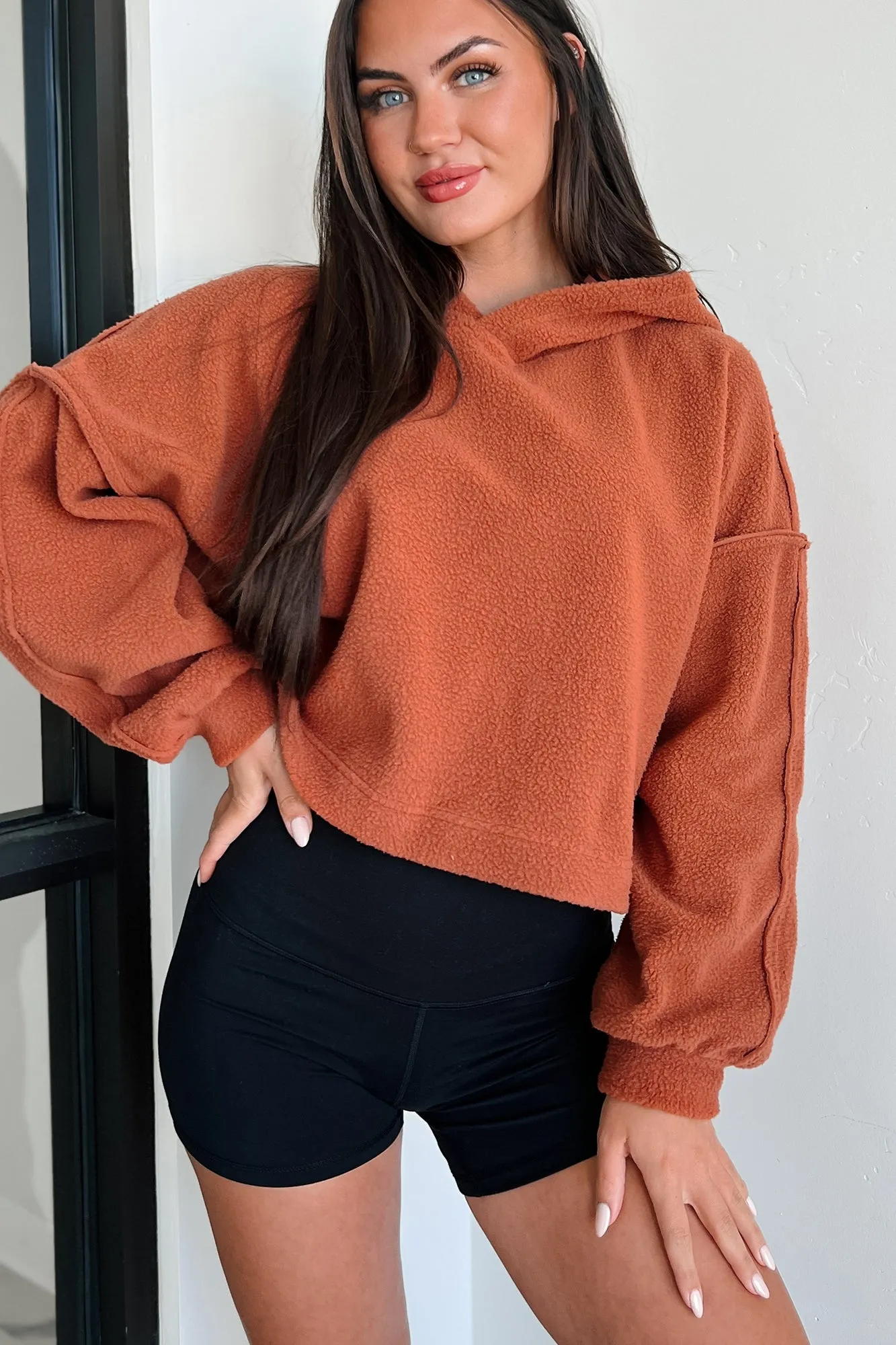Left On Read Sherpa Fleece Crop Hoodie (Baked Clay)