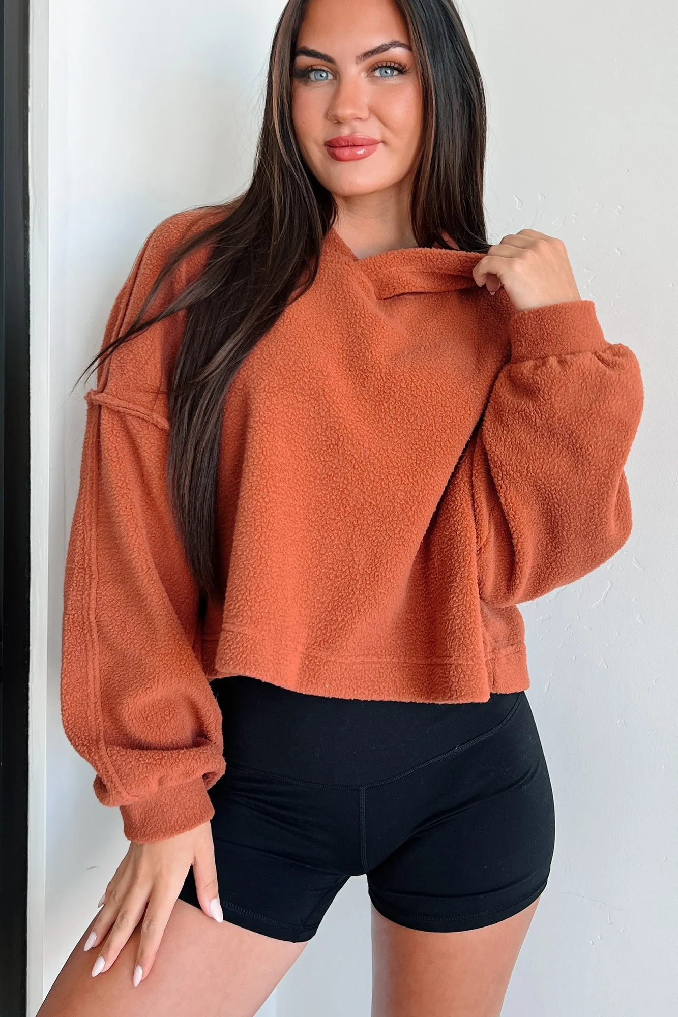 Left On Read Sherpa Fleece Crop Hoodie (Baked Clay)