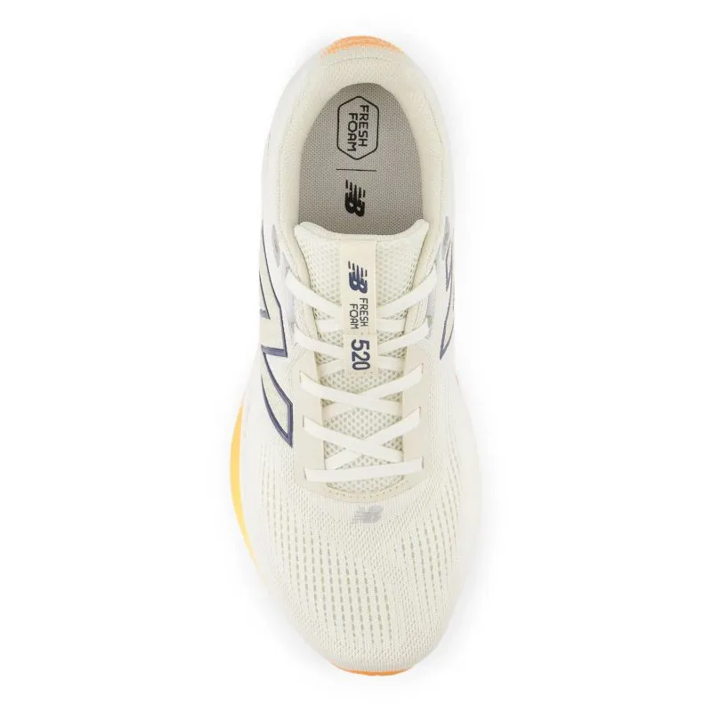 New Balance 520v9 D Mens Running Shoes