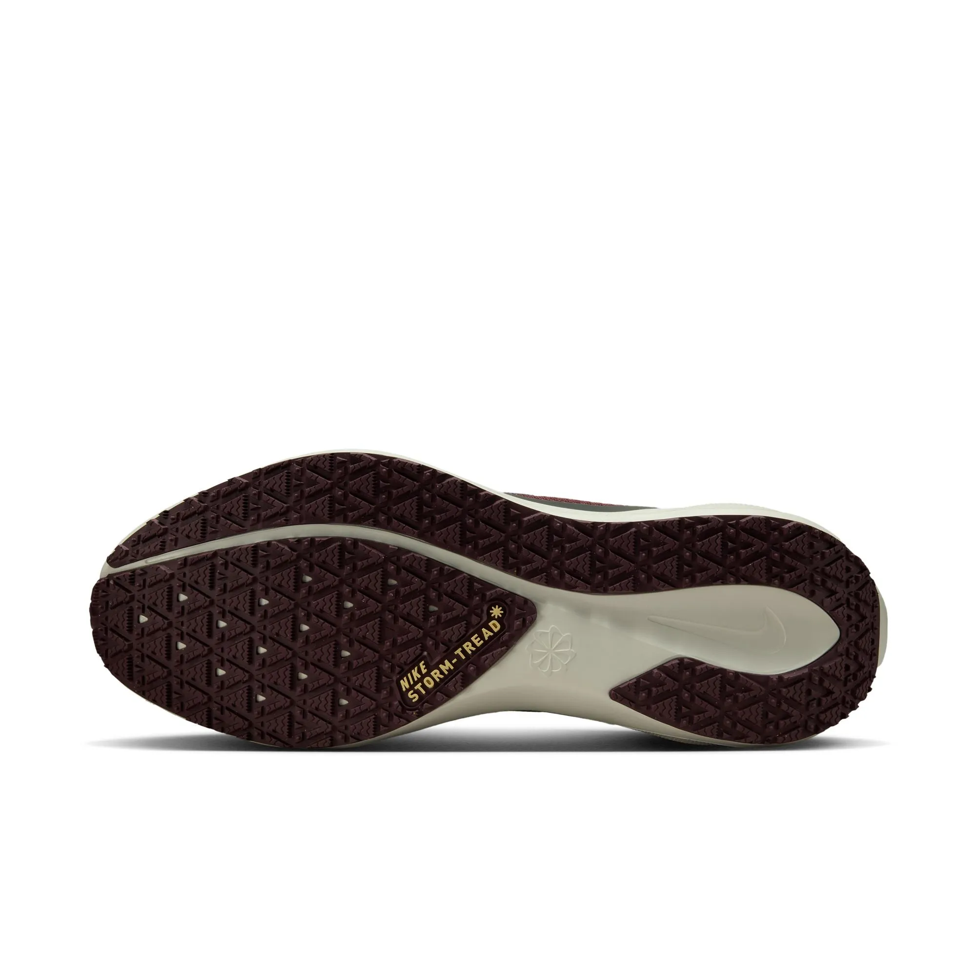 Pegasus 41 GTX - Men's
