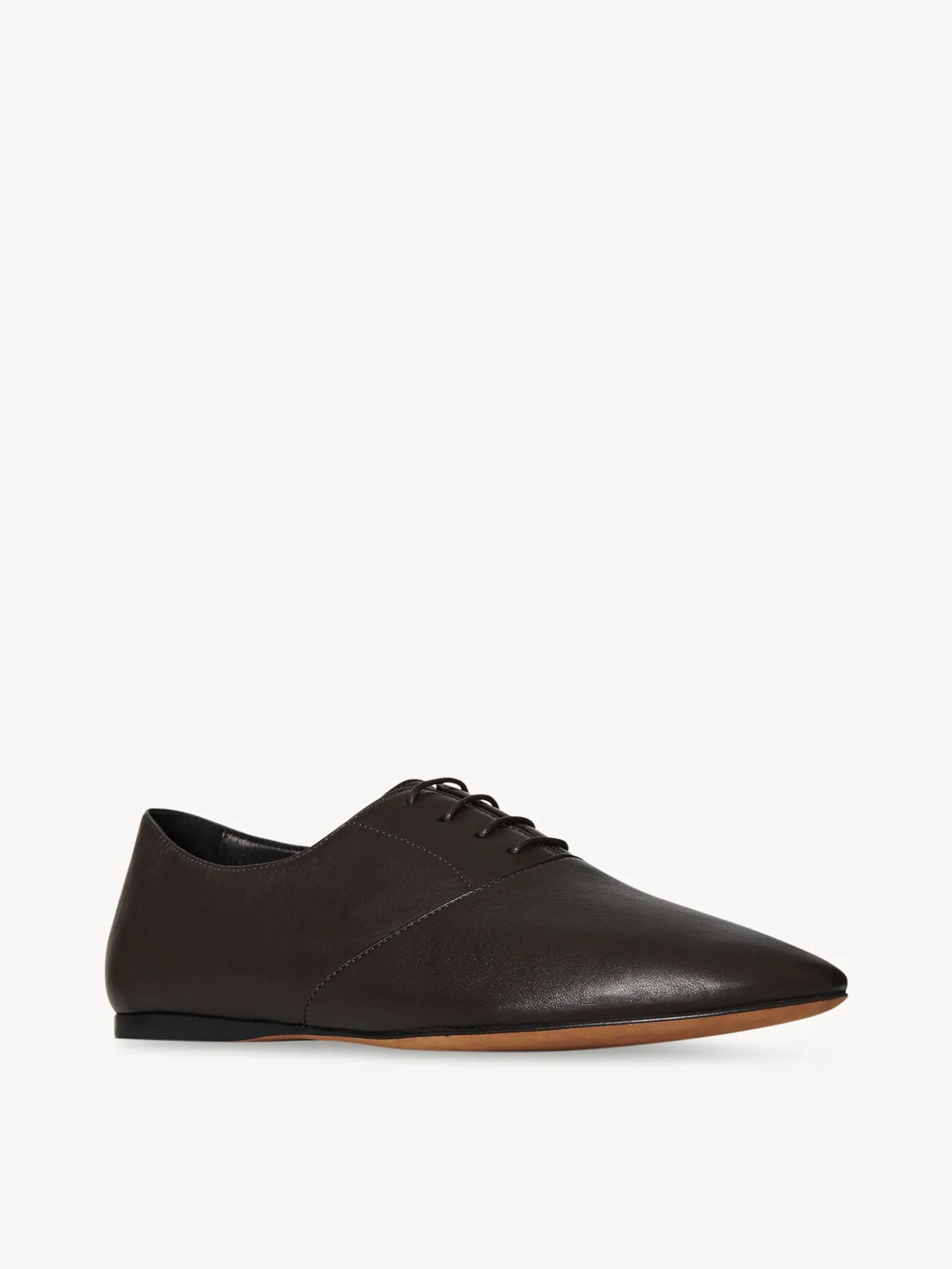 THE ROW - Women Awar Lace Up Flats Shoes_the-row-exclusiv
